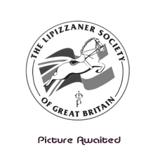 Lipizzaner Society Poster